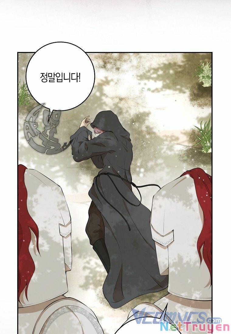 Sóc Nhỏ Tài Năng Chapter 8 - Trang 29