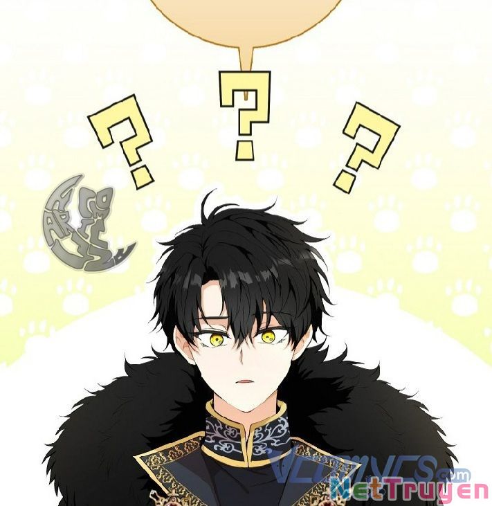 Sóc Nhỏ Tài Năng Chapter 4 - Trang 41