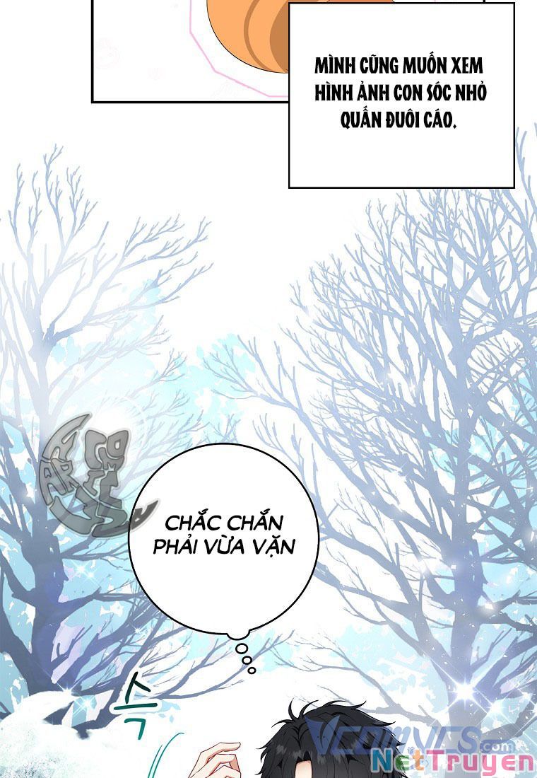 Sóc Nhỏ Tài Năng Chapter 13 - Trang 8