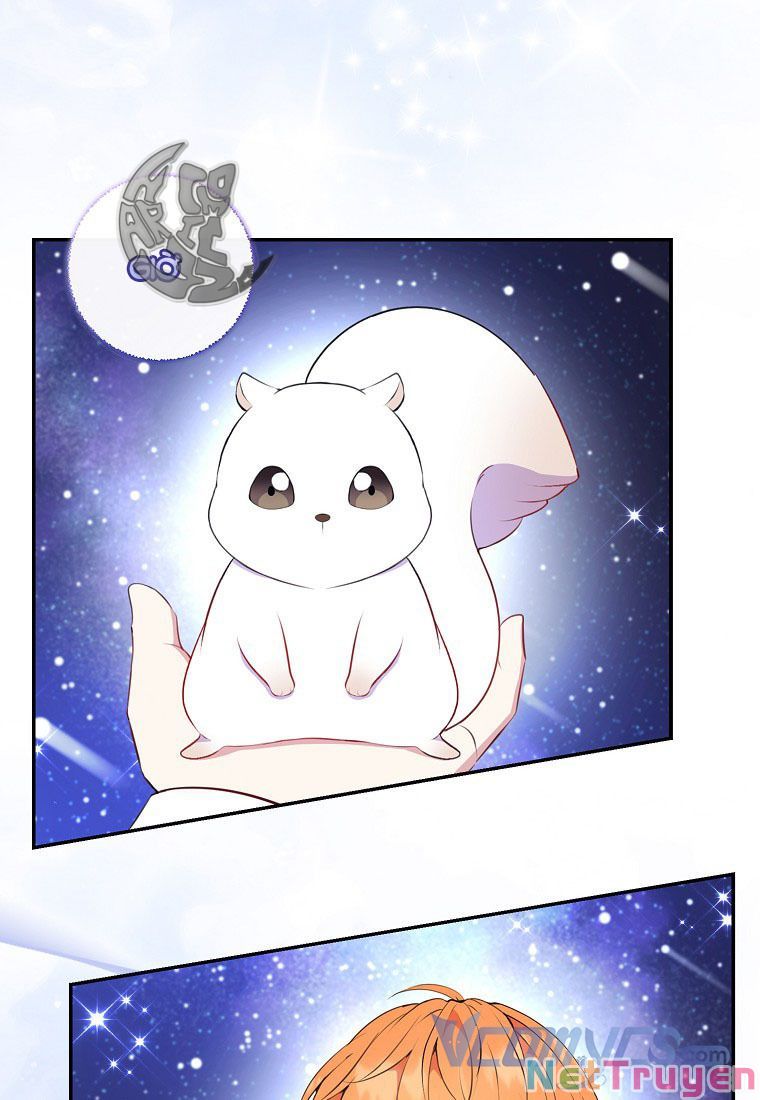 Sóc Nhỏ Tài Năng Chapter 13 - Trang 81