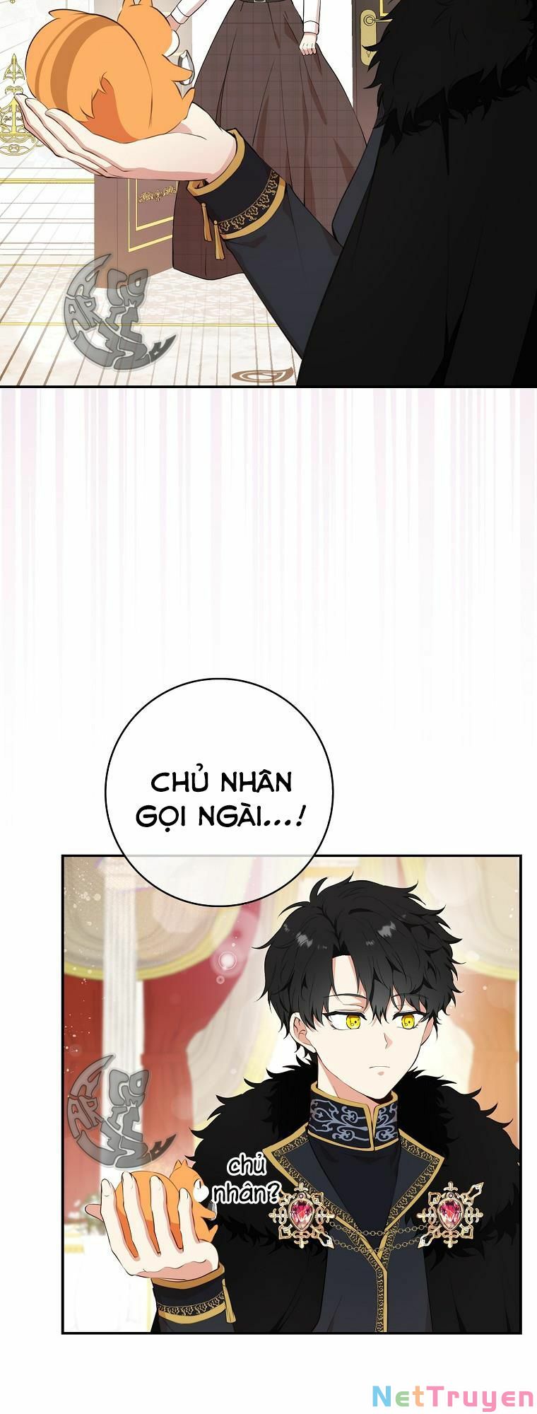 Sóc Nhỏ Tài Năng Chapter 6 - Trang 4