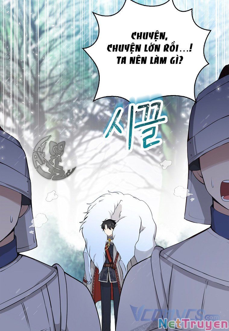 Sóc Nhỏ Tài Năng Chapter 13 - Trang 29