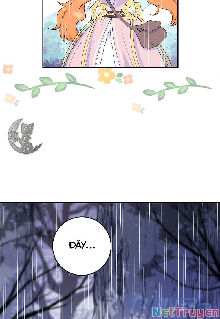 Sóc Nhỏ Tài Năng Chapter 14 - Trang 23