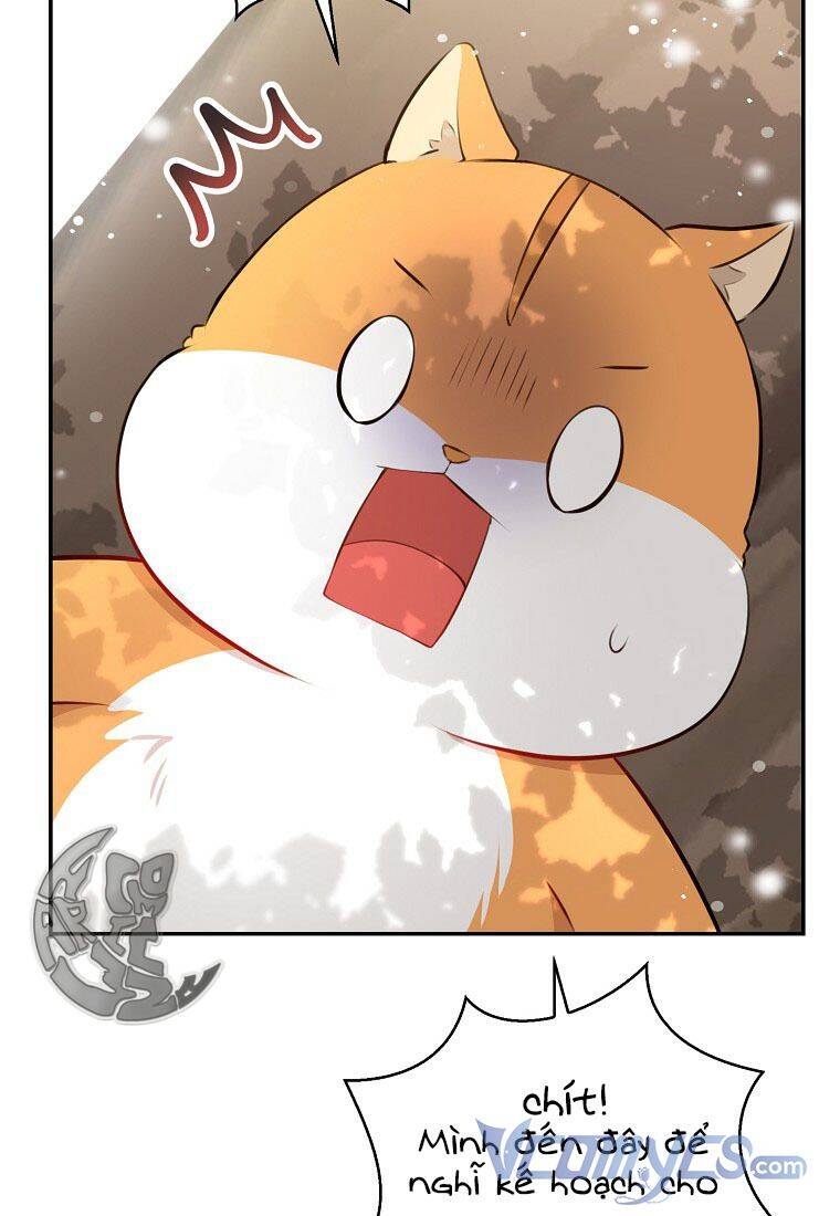 Sóc Nhỏ Tài Năng Chapter 22 - Trang 76