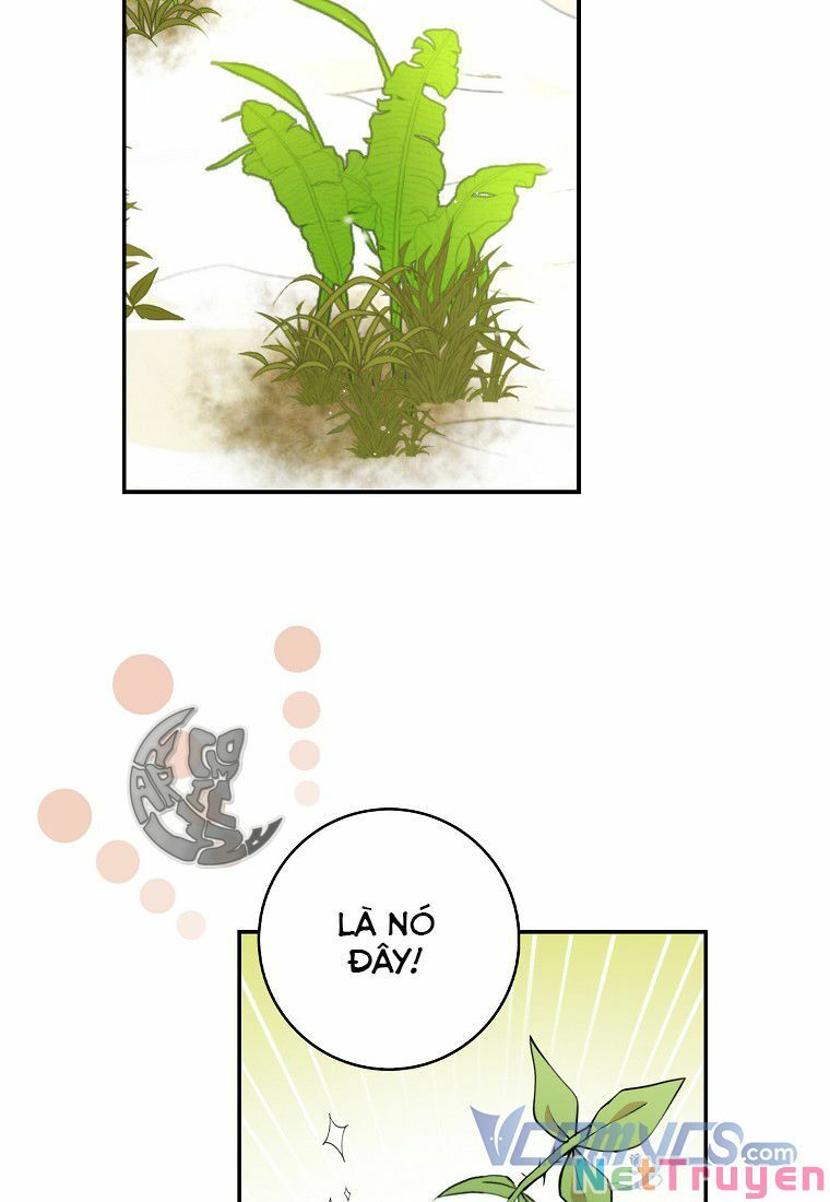Sóc Nhỏ Tài Năng Chapter 8 - Trang 82