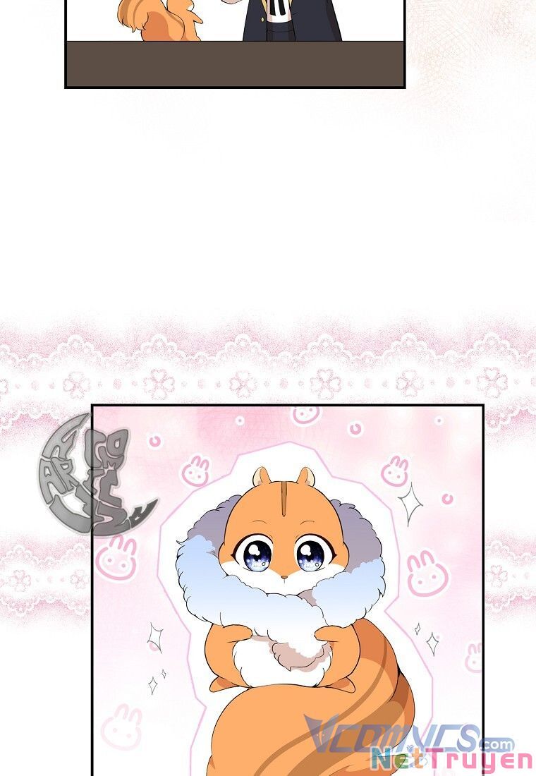 Sóc Nhỏ Tài Năng Chapter 13 - Trang 7
