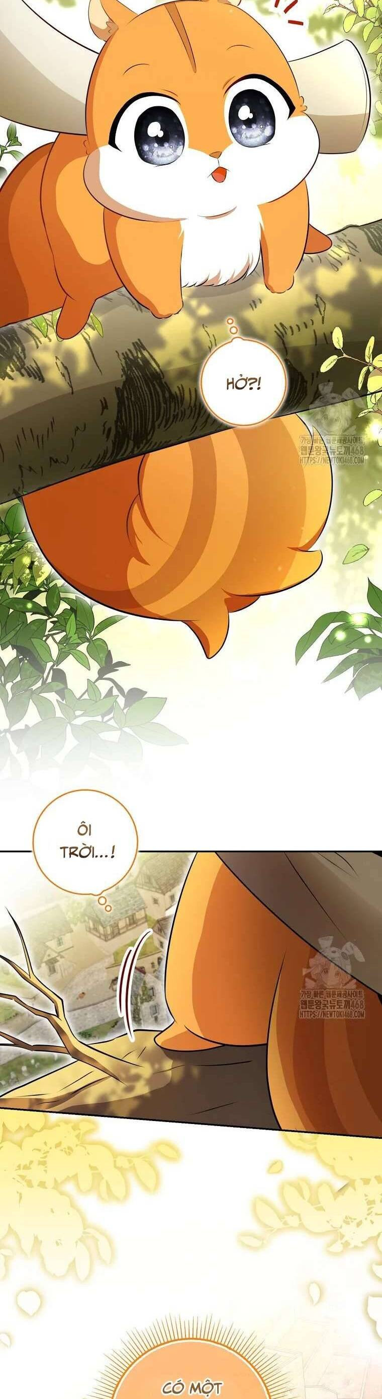 Sóc Nhỏ Tài Năng Chapter 106 - Trang 4