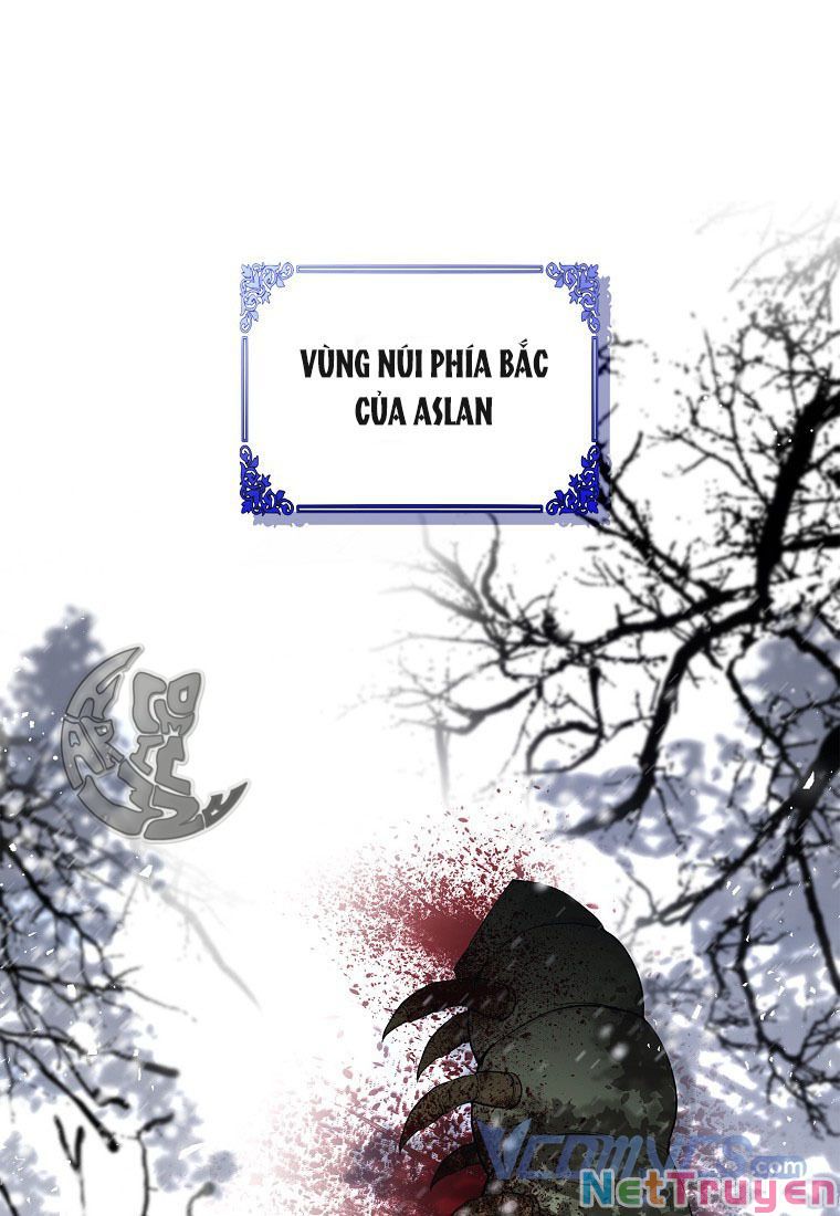 Sóc Nhỏ Tài Năng Chapter 13 - Trang 1