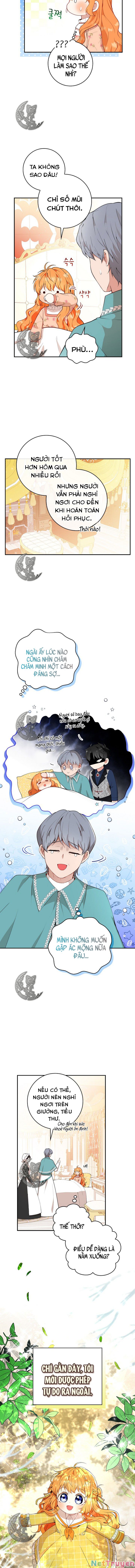 Sóc Nhỏ Tài Năng Chapter 17 - Trang 4