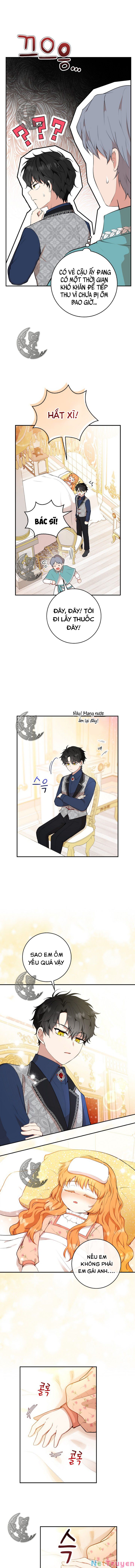 Sóc Nhỏ Tài Năng Chapter 17 - Trang 2