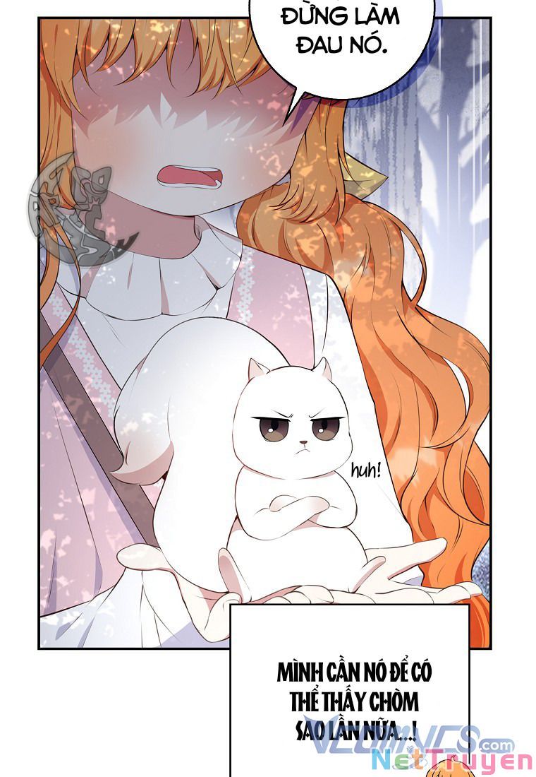 Sóc Nhỏ Tài Năng Chapter 14 - Trang 42