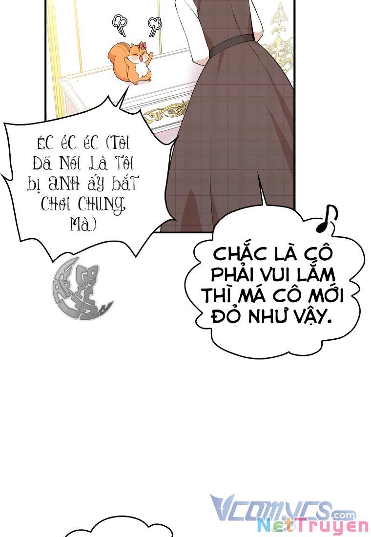 Sóc Nhỏ Tài Năng Chapter 11 - Trang 42