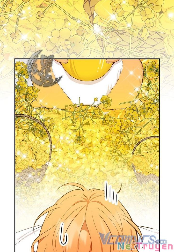 Sóc Nhỏ Tài Năng Chapter 21 - Trang 7