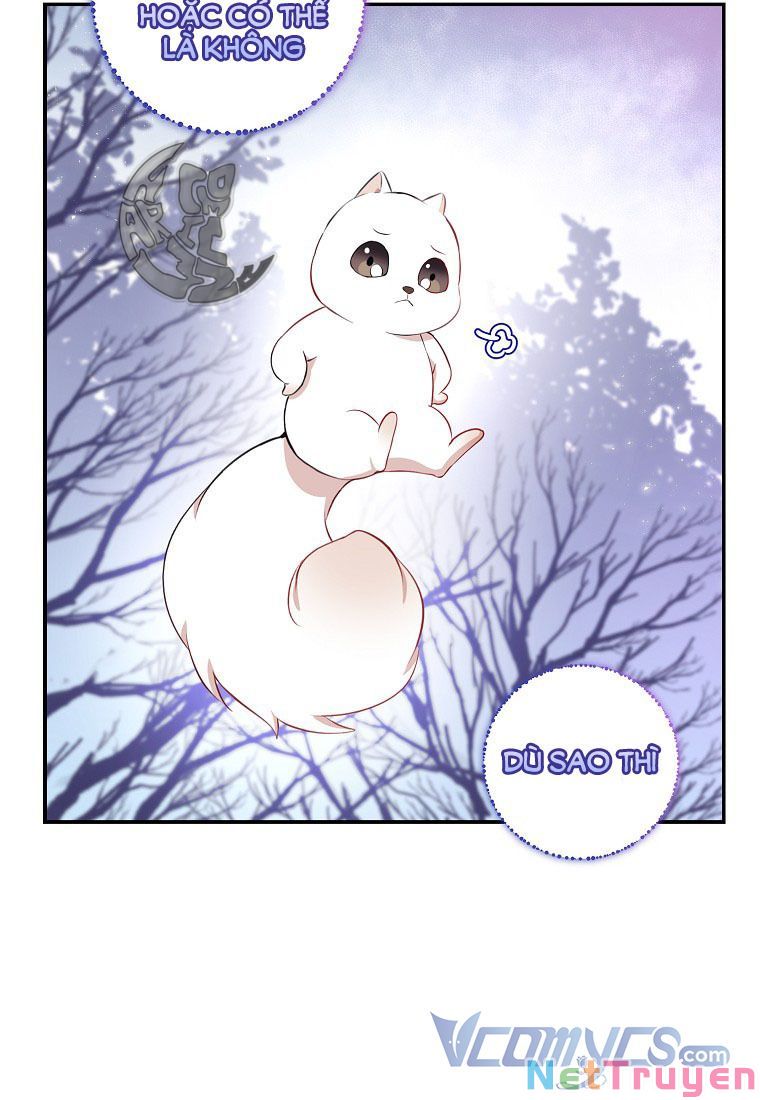 Sóc Nhỏ Tài Năng Chapter 13 - Trang 61