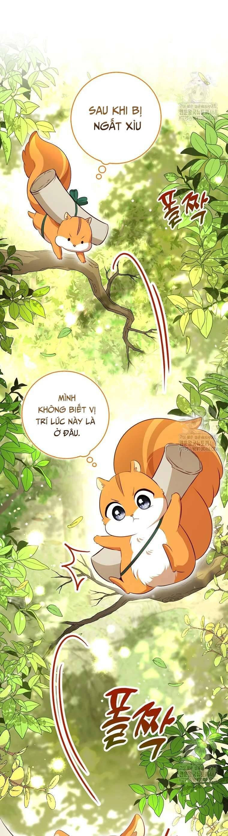 Sóc Nhỏ Tài Năng Chapter 106 - Trang 3
