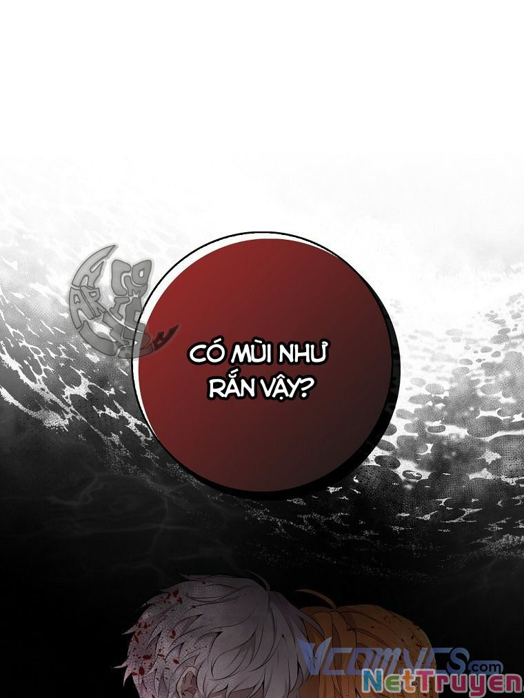 Sóc Nhỏ Tài Năng Chapter 4 - Trang 27