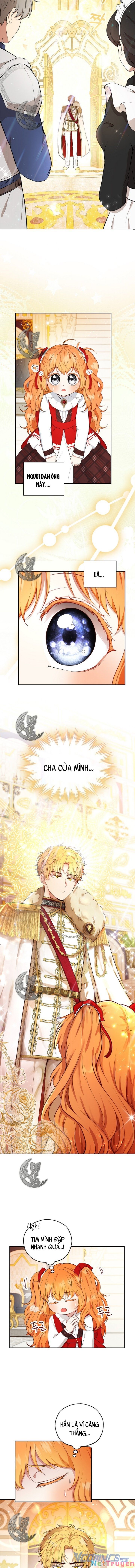 Sóc Nhỏ Tài Năng Chapter 17 - Trang 10