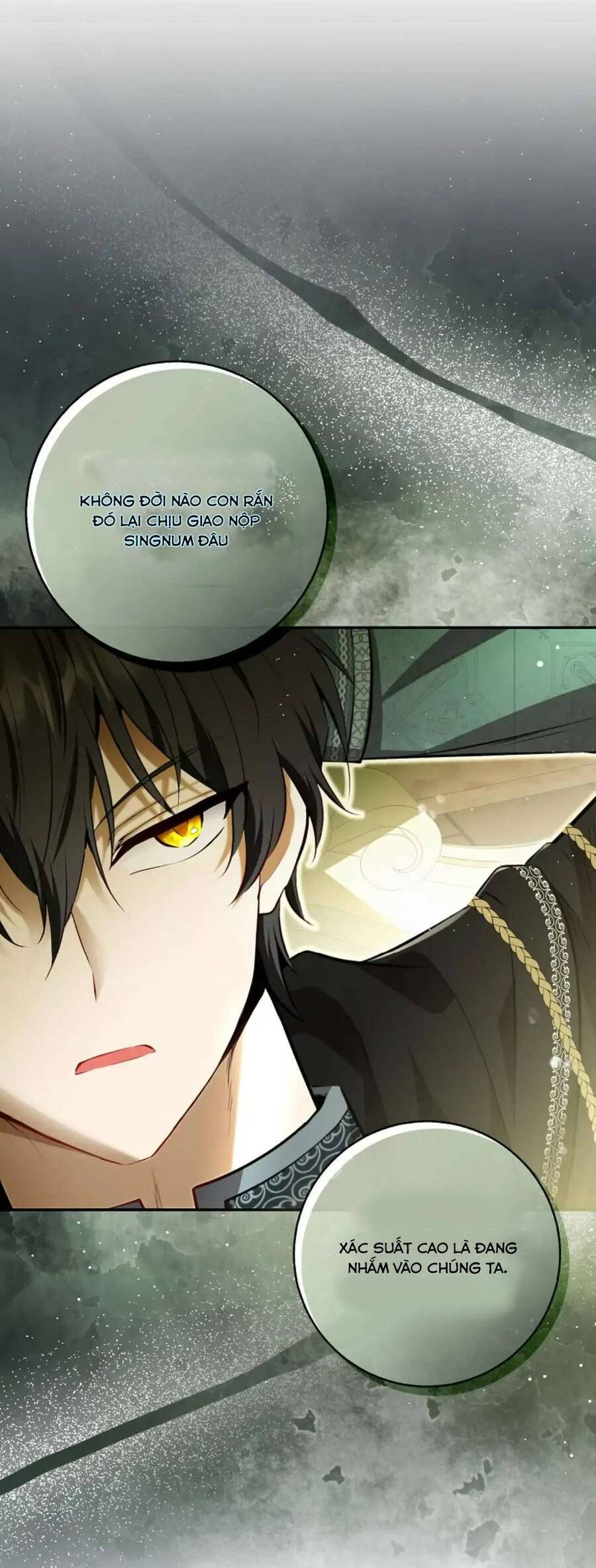 Sóc Nhỏ Tài Năng Chapter 92 - Trang 19