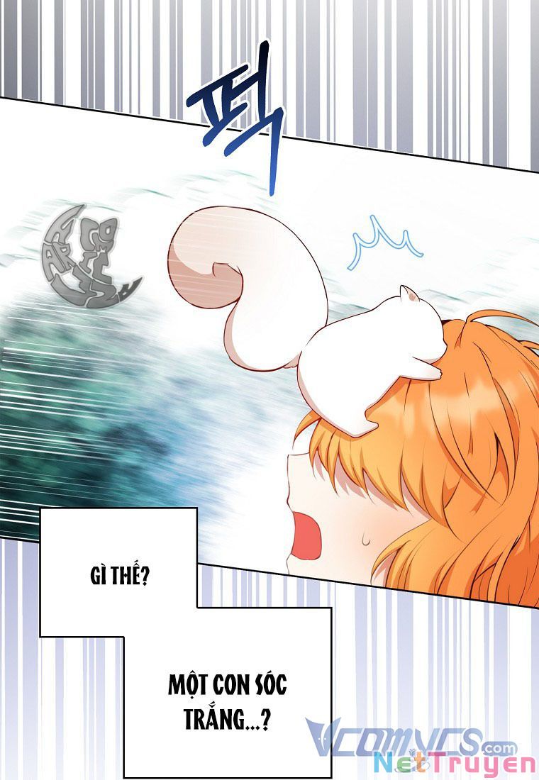 Sóc Nhỏ Tài Năng Chapter 12 - Trang 104