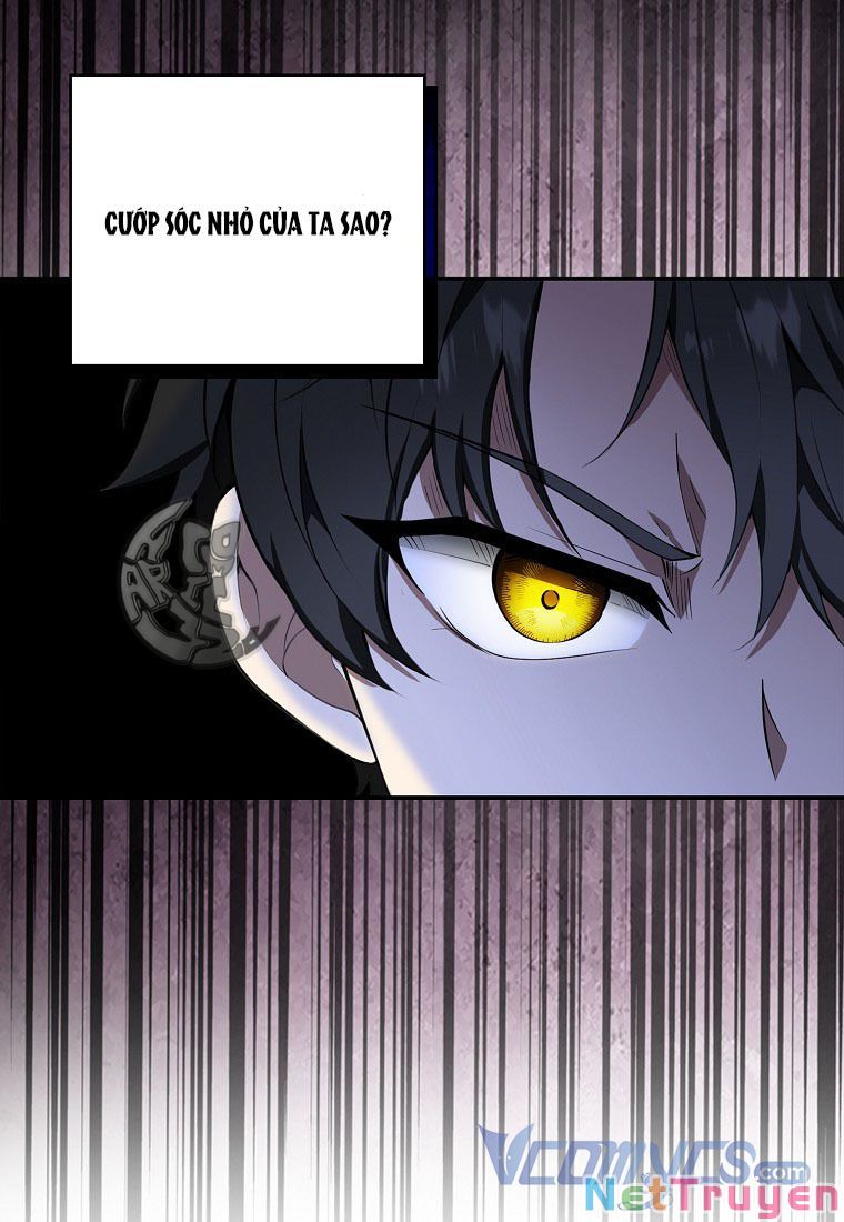 Sóc Nhỏ Tài Năng Chapter 13 - Trang 43