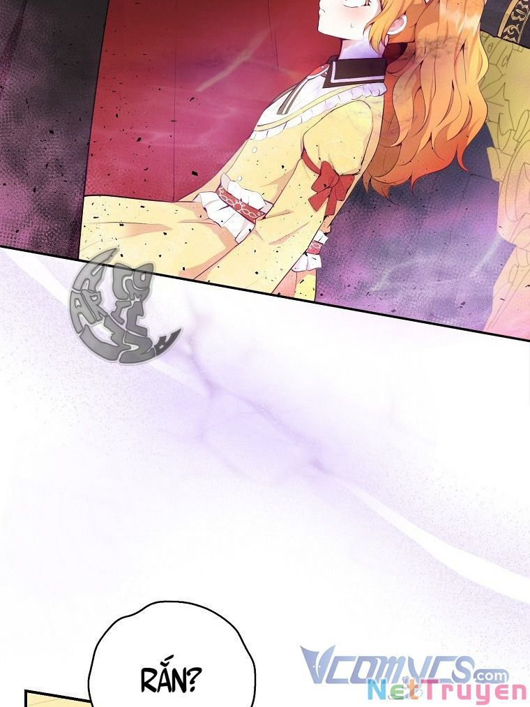 Sóc Nhỏ Tài Năng Chapter 4 - Trang 29