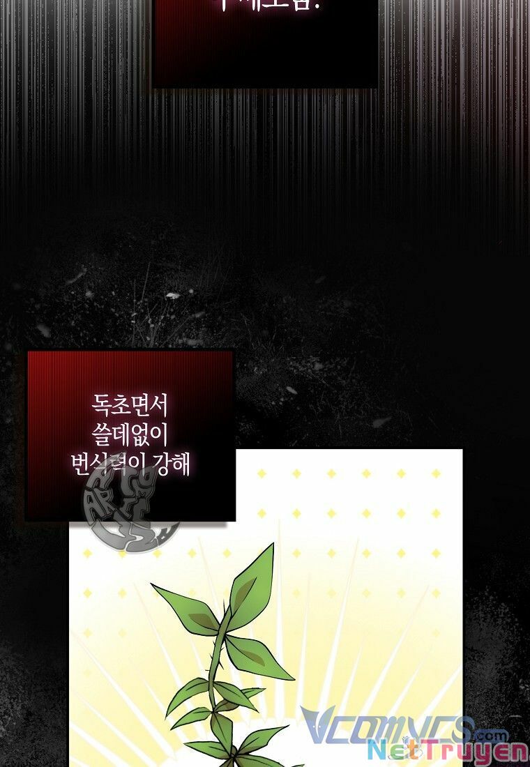 Sóc Nhỏ Tài Năng Chapter 8 - Trang 67