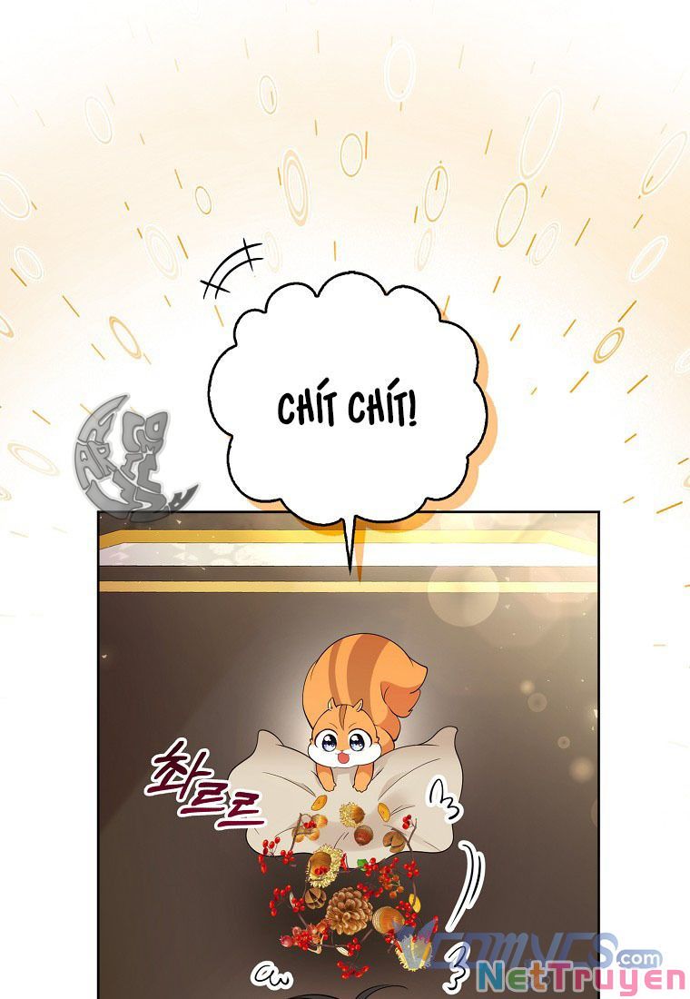 Sóc Nhỏ Tài Năng Chapter 12 - Trang 75