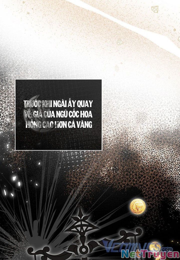 Sóc Nhỏ Tài Năng Chapter 18 - Trang 104