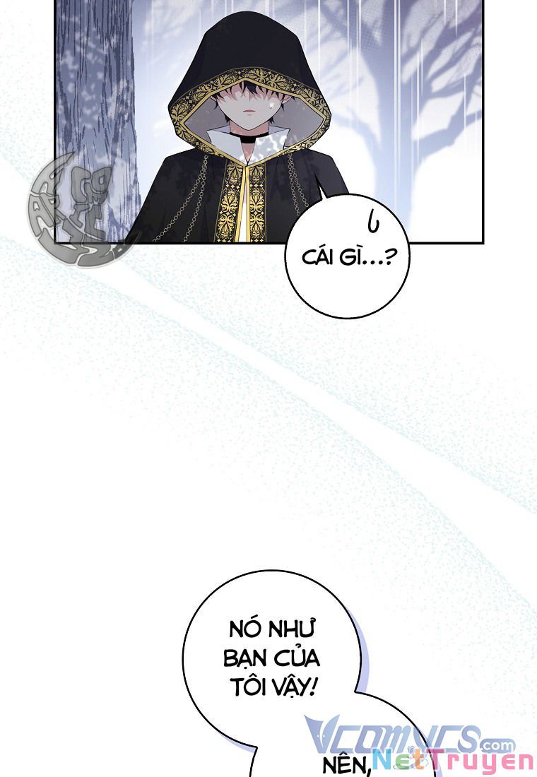Sóc Nhỏ Tài Năng Chapter 14 - Trang 41