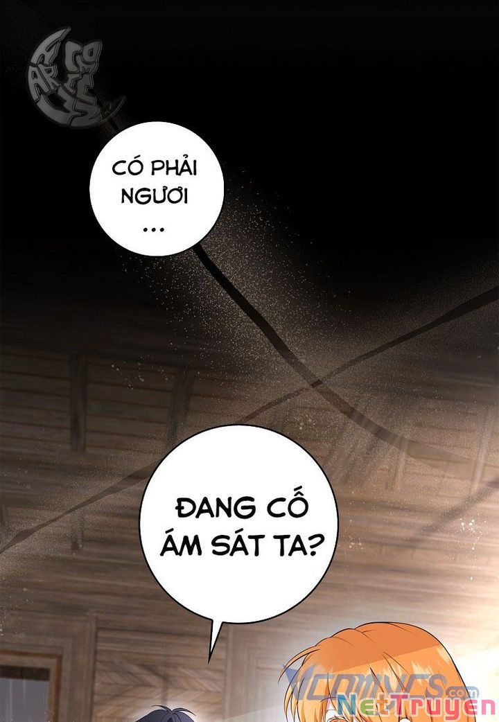 Sóc Nhỏ Tài Năng Chapter 16 - Trang 1