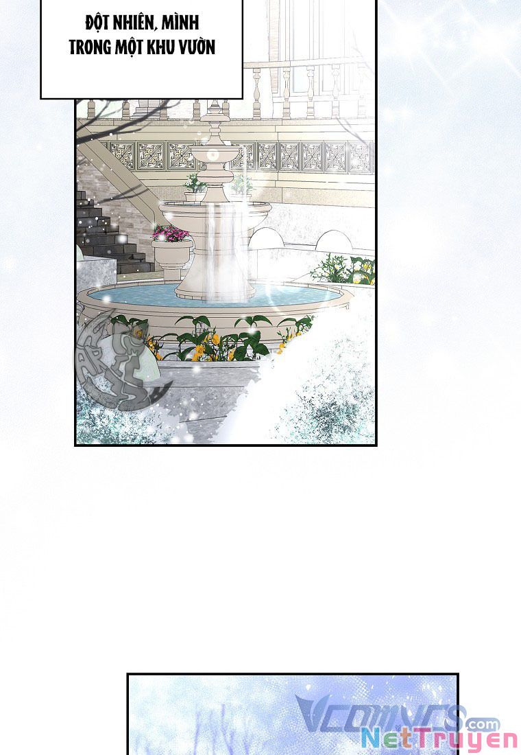 Sóc Nhỏ Tài Năng Chapter 13 - Trang 47