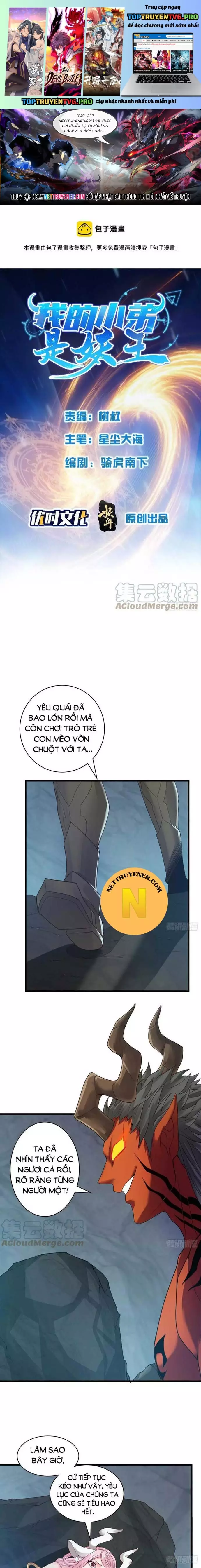 Tiểu Đệ Của Ta Là Yêu Vương Chapter 57 - Trang 0