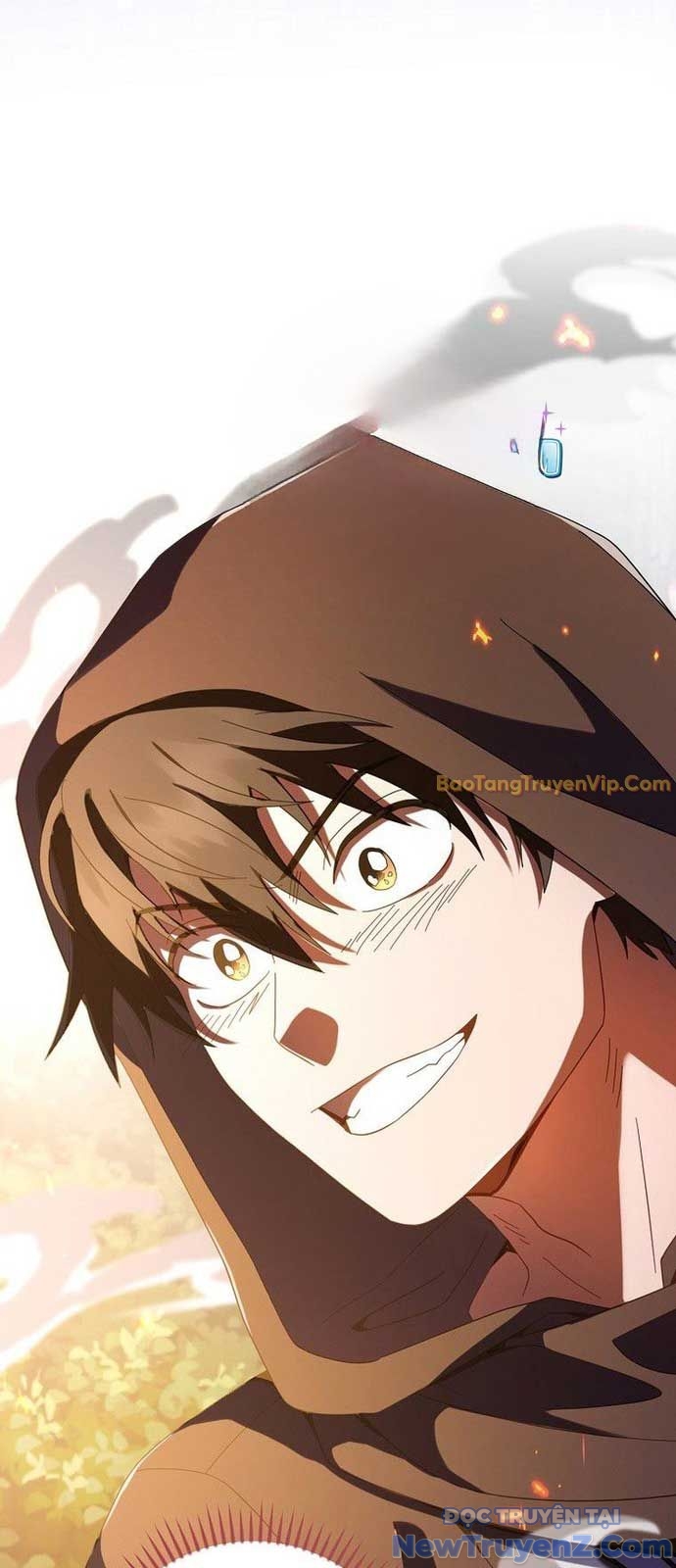 Bậc Thầy Toàn Bộ Kỹ Năng chapter 5 - Trang 17