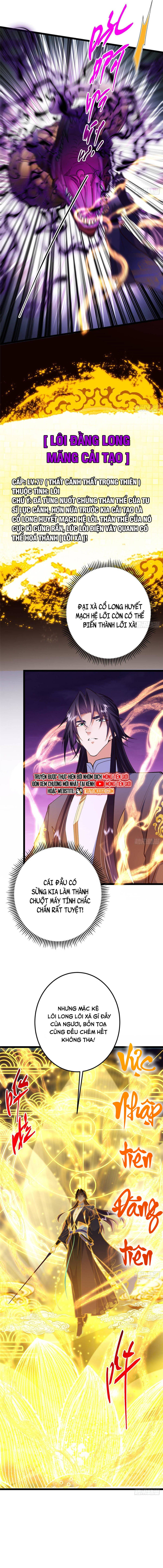 Chưởng Môn Khiêm Tốn Chút Chapter 497 - Trang 11