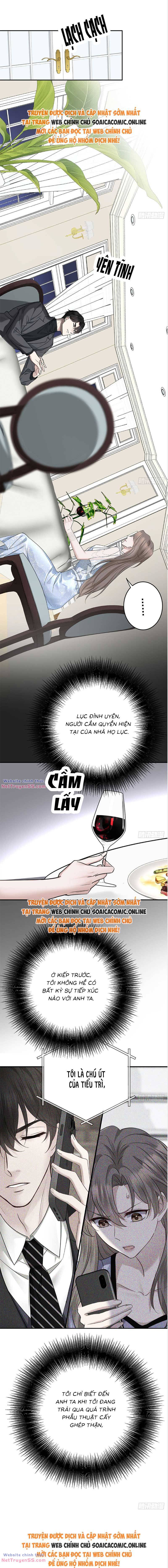 Kết Đẹp Với Chú Út Kiếp Trước Sau Chia Tay Chapter 15 - Trang 3