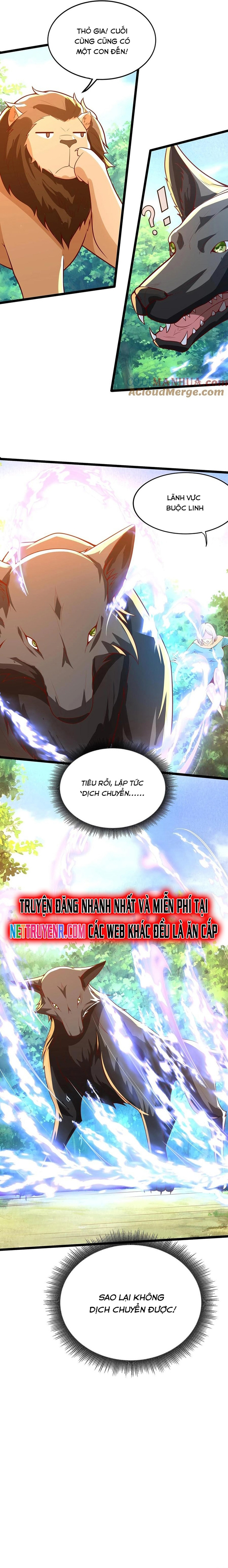Linh Khí Khôi Phục: Ta Mỗi Ngày Thu Được Một Cái Kỹ Năng Mới Chapter 281 - Trang 3