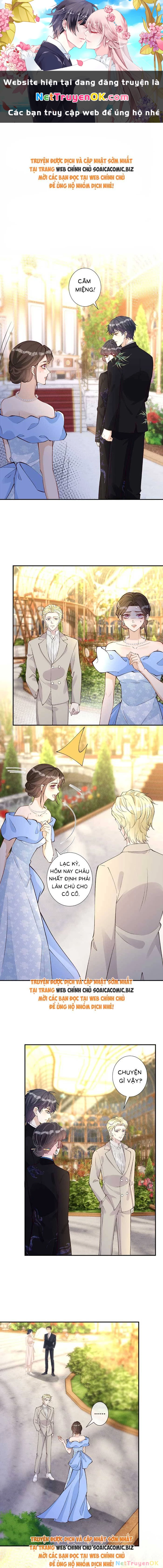 Ôm Khẩn Tiểu Mã Giáp Của Tôi Chapter 340 - Trang 0