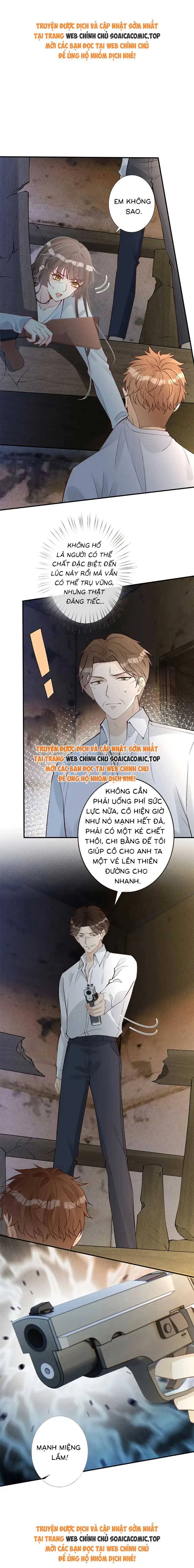 Ôm Khẩn Tiểu Mã Giáp Của Tôi Chapter 320 - Trang 0