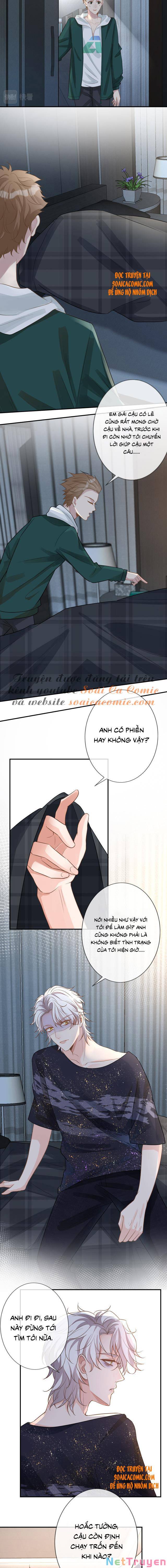 Ôm Khẩn Tiểu Mã Giáp Của Tôi Chapter 11 - Trang 6