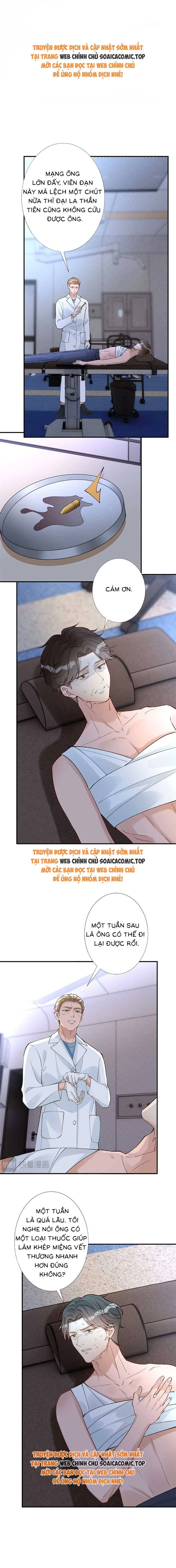 Ôm Khẩn Tiểu Mã Giáp Của Tôi Chapter 321 - Trang 0