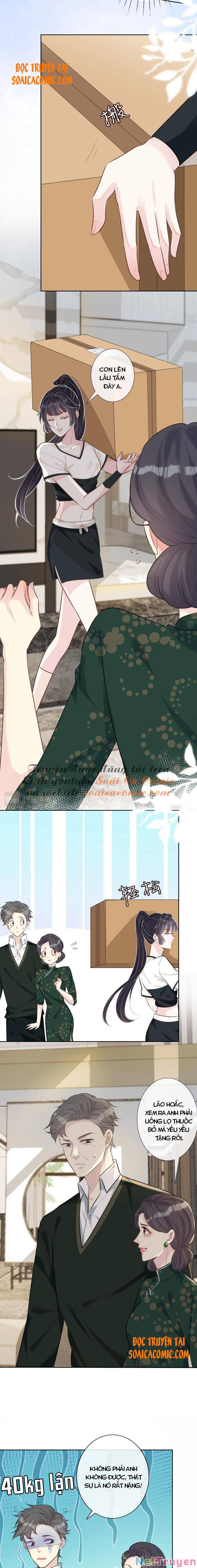 Ôm Khẩn Tiểu Mã Giáp Của Tôi Chapter 3 - Trang 2