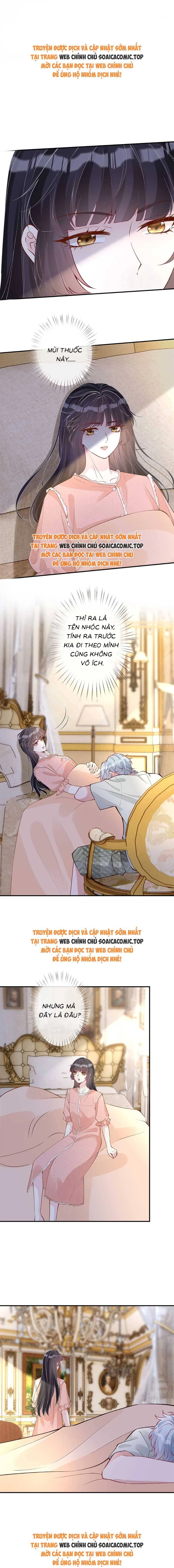 Ôm Khẩn Tiểu Mã Giáp Của Tôi Chapter 322 - Trang 0