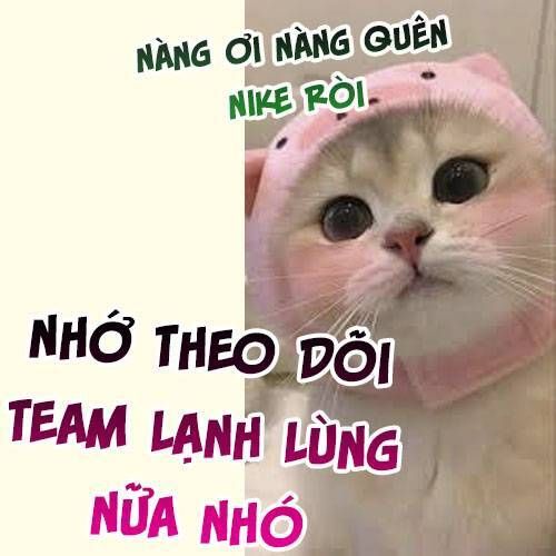 Xuyên Thành Tiểu Muội Của Đại Lão Giấu Mặt Chapter 56 - Trang 28