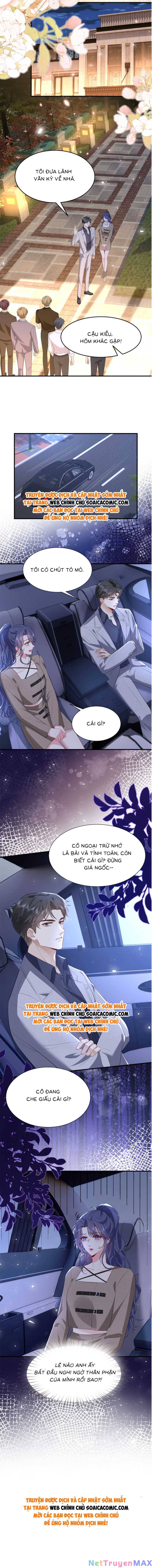 Đại Boss Thần Bí Lại Chiều Hư Vợ Chapter 11 - Trang 7