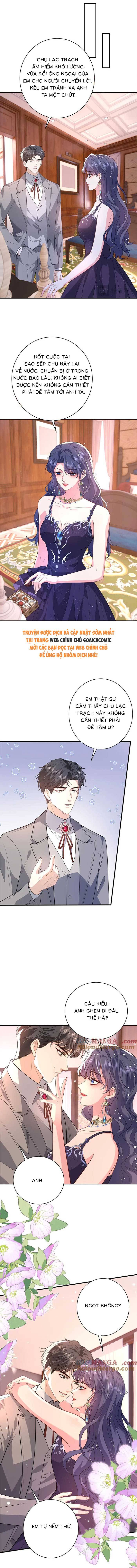 Đại Boss Thần Bí Lại Chiều Hư Vợ Chapter 59 - Trang 4