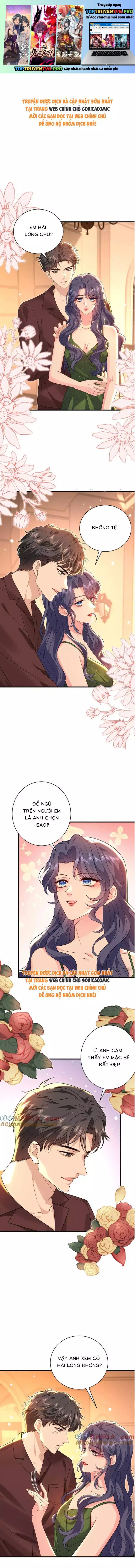 Đại Boss Thần Bí Lại Chiều Hư Vợ Chapter 66 - Trang 0