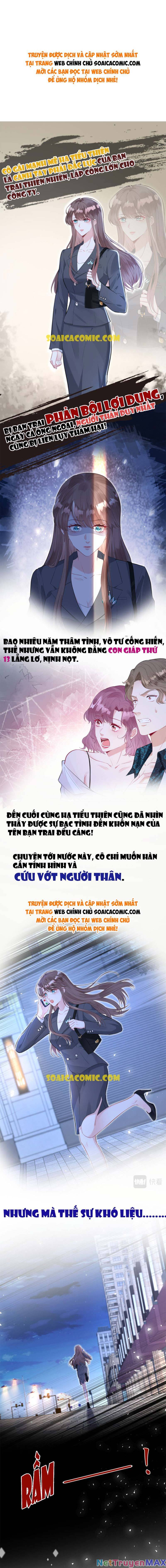 Đại Boss Thần Bí Lại Chiều Hư Vợ Chapter 1 - Trang 0