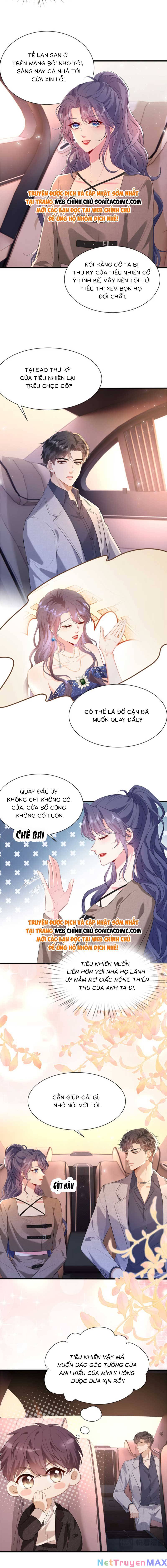 Đại Boss Thần Bí Lại Chiều Hư Vợ Chapter 11 - Trang 2