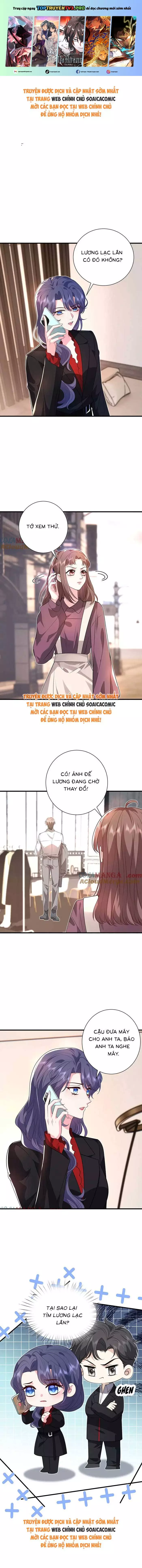Đại Boss Thần Bí Lại Chiều Hư Vợ Chapter 61 - Trang 0