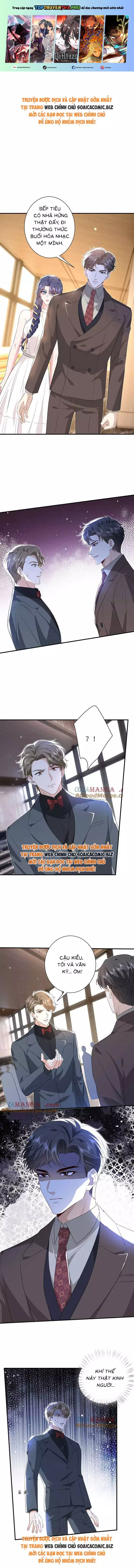 Đại Boss Thần Bí Lại Chiều Hư Vợ Chapter 56 - Trang 0